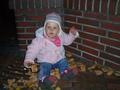 Im Laub 2006